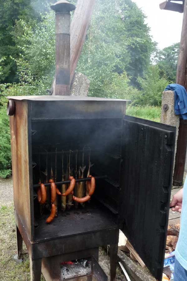 Ryby z Mexického zálivu