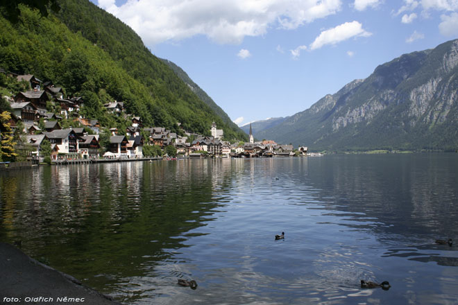 img00081.jpg