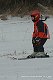 Mistrovství Lubojat - Ski 2009  - Lubojaty 22 února 2009