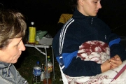 24hodinokololichnova2003_00024