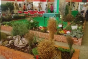 floraolomouc2007_00002
