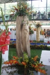 floraolomouc2007_00006