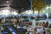 floraolomouc2007_00007