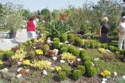 floraolomouc2007_00025