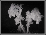 Zima na KYPRU - 19. ledna 2013