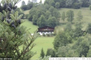 Kaprunské šišky