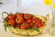 podzim2011_047