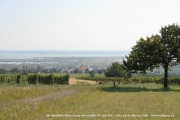 neusiedler_2011_0007