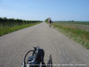 neusiedler_2011_0047
