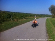 neusiedler_2011_0070