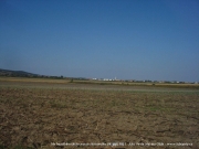 neusiedler_2011_0072