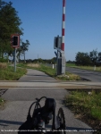 neusiedler_2011_0078