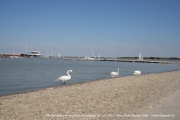 neusiedler_2011_0143