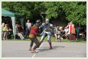budislav2013_0087