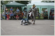 budislav2013_0102