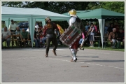 budislav2013_0118