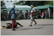 budislav2013_0119