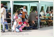budislav2013_0136