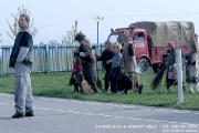 palenicarodejnici2005_00030