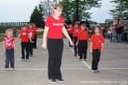 palenicarodejnic2009_00102