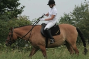 pulenileta2010_00031