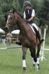 pulenileta2010_00036