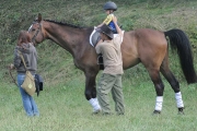 pulenileta2010_00066