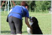 pulenileta_2014_007