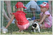 pulenileta_2014_033