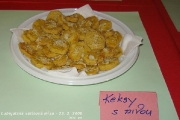 salatovamisa2008_00004
