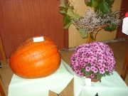 jakchutnapodzim2008_00005