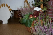vypestky2009_00030