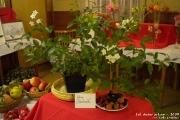vypestky2009_00054